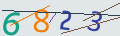 verifycode